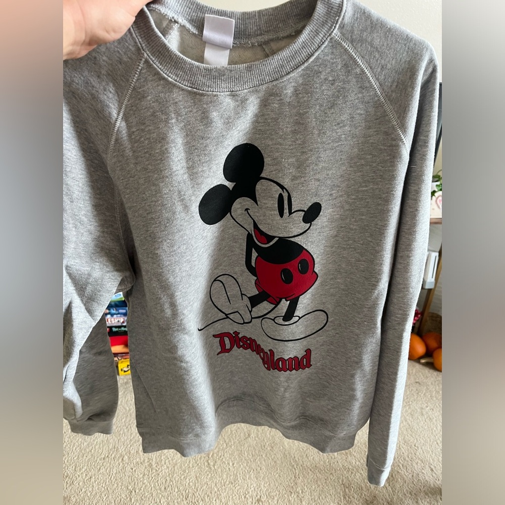 Disneyland Sweatshirt